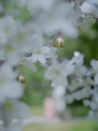 [Dublado]Tempestade a Caminho - Episode 9