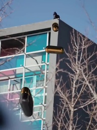 上錯花轎，娶對天之嬌女 - Episode 9