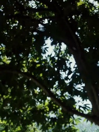 الحلقة 60 - [مدبلج]أمي المديرة وأبي المقاتل