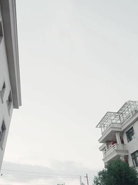 CEO's Accidental Miracle - Episode 51