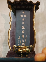 Episode 12 - Secrets of Springwell Clinic