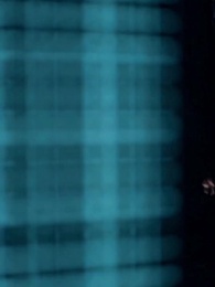 Kayıp İtibar - Episode 2