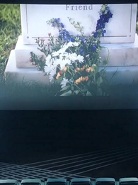 Bölüm 12 - Kayıp İtibar