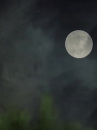 第52話 - 電撃婚の嫁がドロ甘すぎて敵わない~