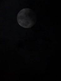 Episodio 73 - [Doblado]De la Prisión a la Cima