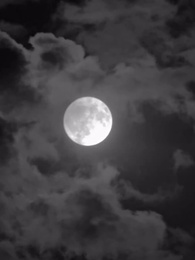 The True Cheer Queen Reclaims Her Stage - Episode 39