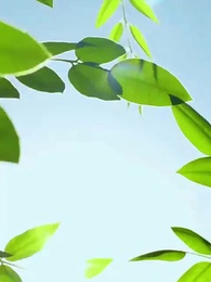 เส้นทางการแพทย์ ความงดงามแห่งวัย - Episode 58