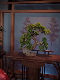 女扮男裝當紈絝，成了全員白月光 - Episode 20