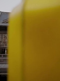 第27集 - 女扮男裝當紈絝,成了全員白月光