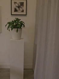 الحلقة 35 - زوجتي السابقة المعوزة وريثة