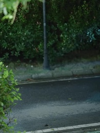 Episode 39 - The Heart That Waits in Vain