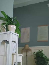 [Dublado]O Centésimo Adeus ao Marechal - Episode 15