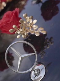 Não Casei Errado  Maré da Liberdade - Episode 5