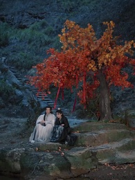 第56集 - 女扮男裝當紈絝，成了全員白月光