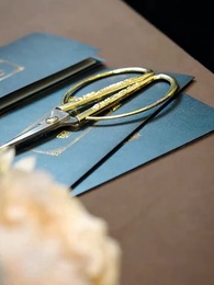 Tập 11 - Món Nợ Tình Thân