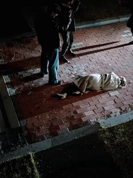 最愛に、気づかない - Episode 25