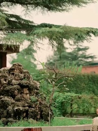 Episode 72 - Rebirth 1996: Wealth, Love and Leisure