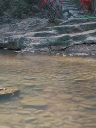 女扮男裝當紈絝，成了全員白月光 - Episode 35