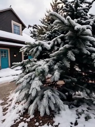 Episode 9 - The Billionaire Ex-Boyfriend's Return