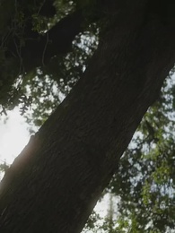 اختلاس الحب - Episode 58