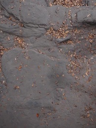 Thiên Tài Kiếm Đạo - Episode 26