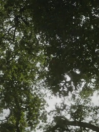 اختلاس الحب - Episode 69