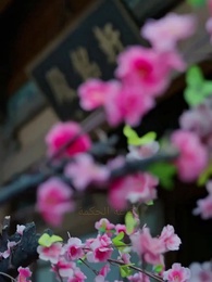 [مدبلج]الطبيبة المعجزة والسم - Episode 38