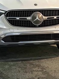 Episode 33 - The Homeless Wanderer Who Became My Mate