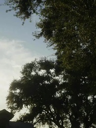 الحلقة 8 - اختلاس الحب