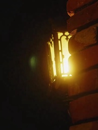 الحلقة 5 - اختلاس الحب