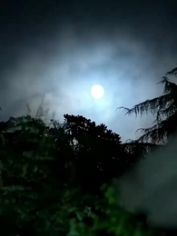 Bảy Năm Bão Tố - Episode 20