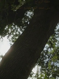 الحلقة 2 - اختلاس الحب