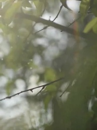 اختلاس الحب - Episode 18