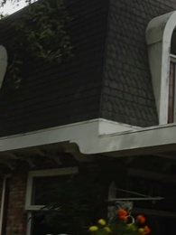 الحلقة 35 - اختلاس الحب