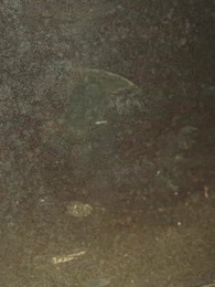 Reborn to Save Brother: Divorce & Consequences - Episode 30