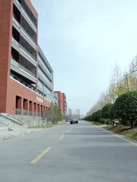 第25集 - 辭舊迎新生