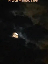 Reborn to Save Brother: Divorce & Consequences - Episode 28