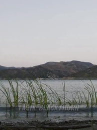 Cinta Alfa, Isteri di Atas Takhta - Episode 1