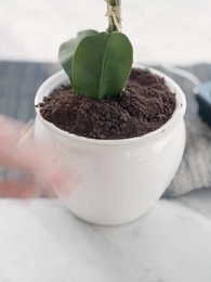 Episode 7 - Don't Mess with Billionaire's Daughter