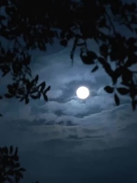 第4集 - 下一世會更乖