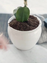 Mexa com a Herdeira, Paga o Preço - Episode 7