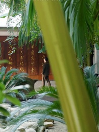 Episódio 35 - Gratidão e Honra