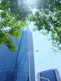 Hidup Semula dan Dirayu Pulang - Episode 50