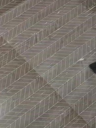 Episod 47 - Aku Seorang Kultivator