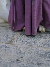 [مدبلج]زفاف القدر - Episode 49