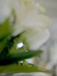 الحلقة 28 - مفاجأة من السماء