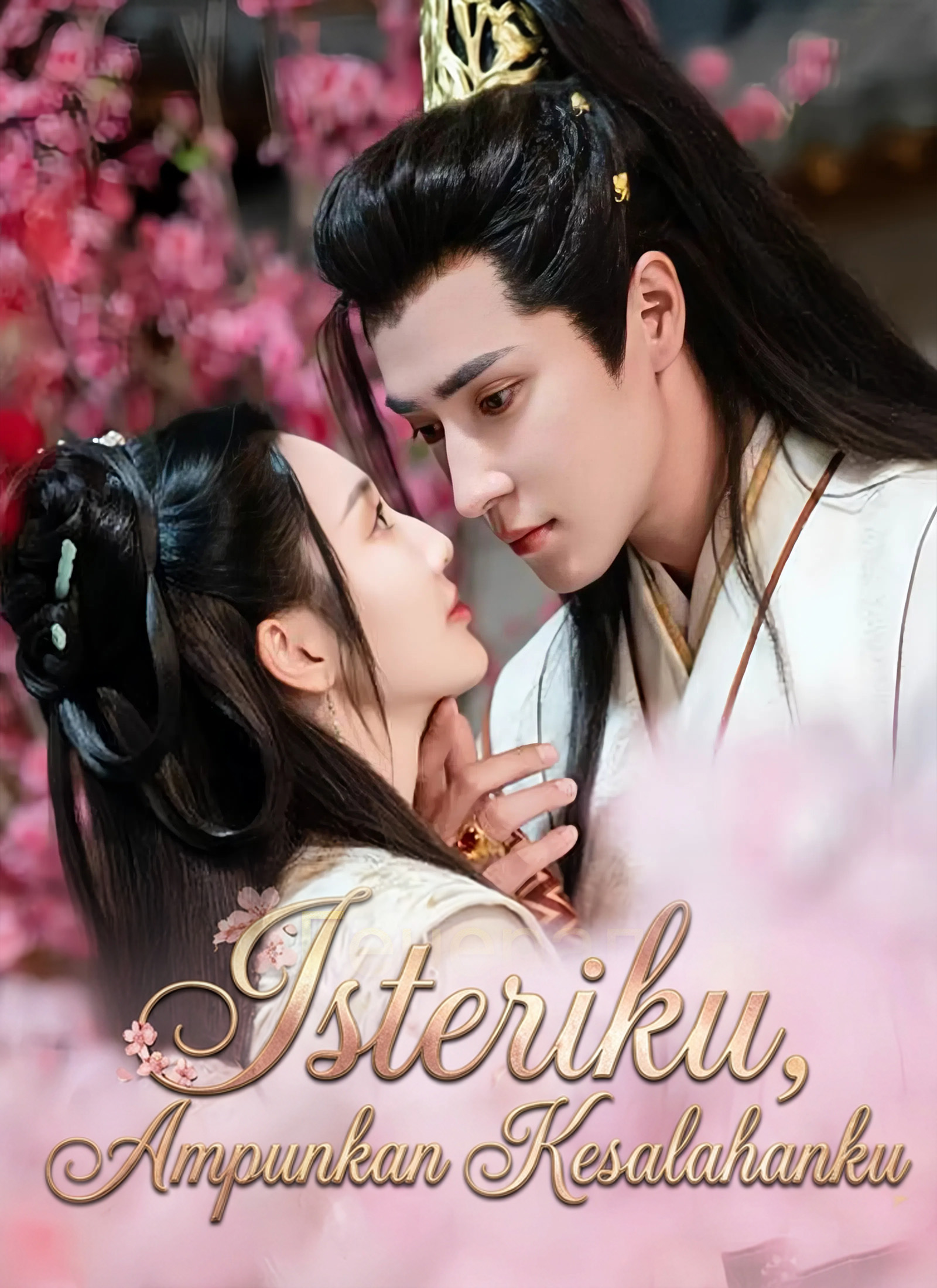 Isteriku, Ampunkan Kesalahanku