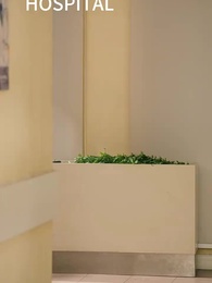 Episod 53 - Cahaya bulan