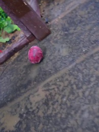 Syurga Tidak Lebih Indah Dari Bum - Episode 41