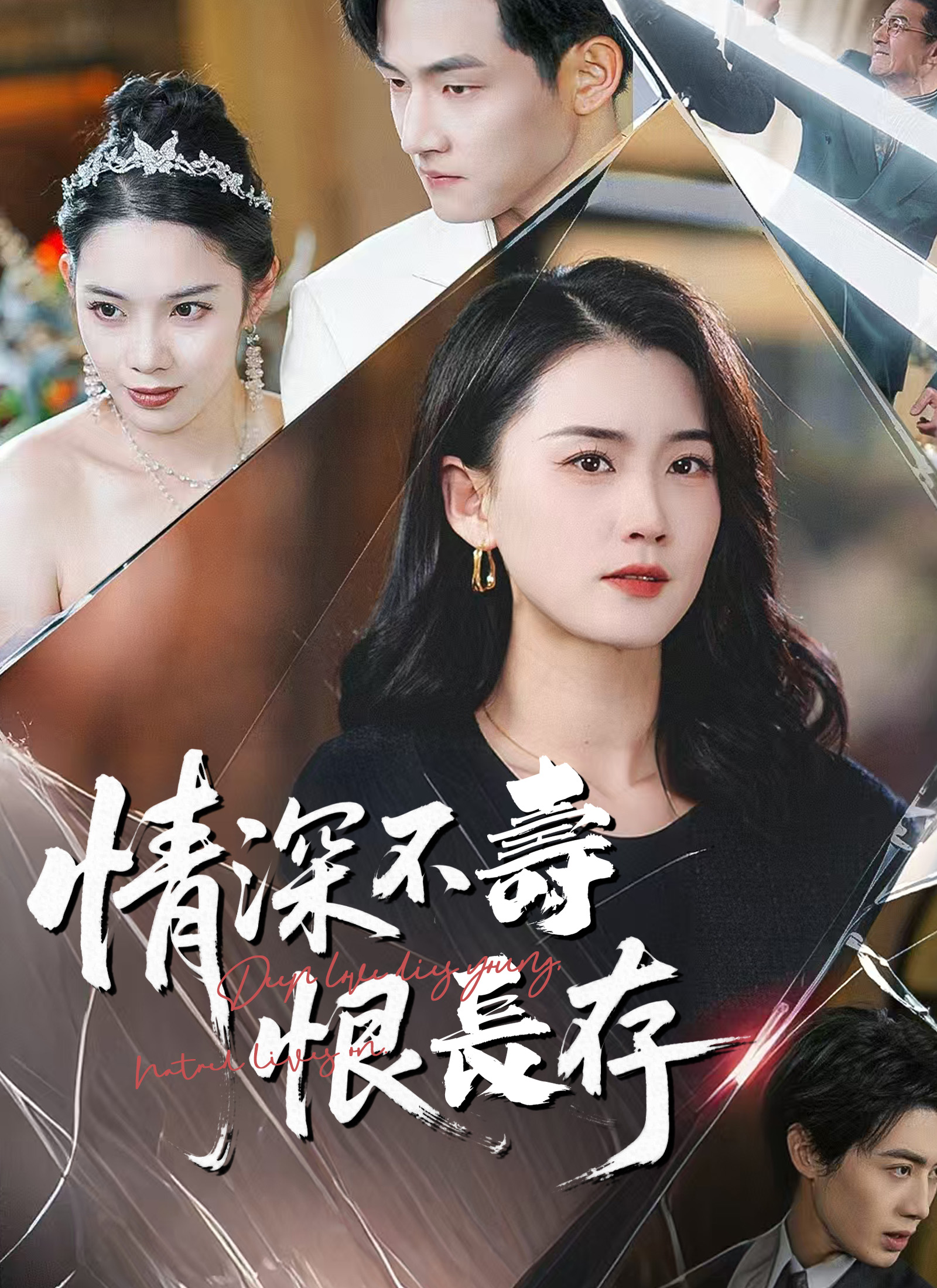 《情深不壽恨長存》封面